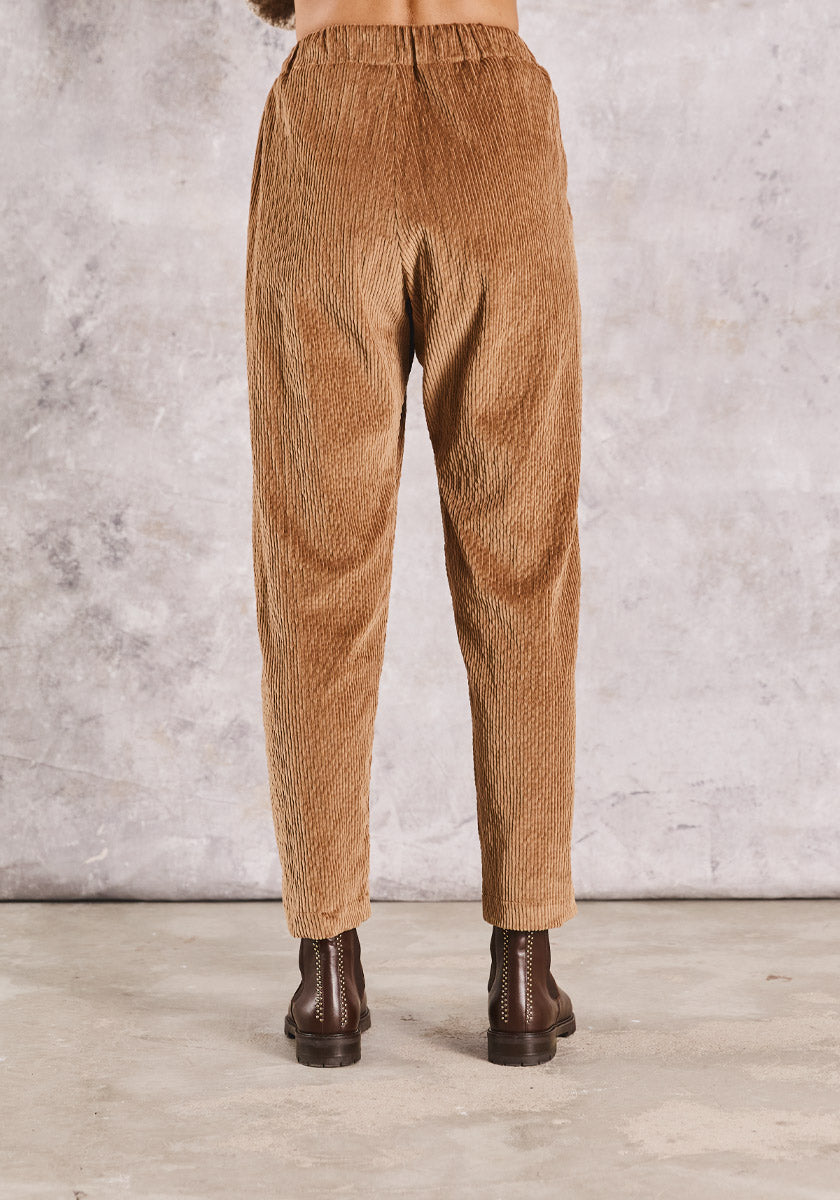 Pantalon FAZ Velours Camel