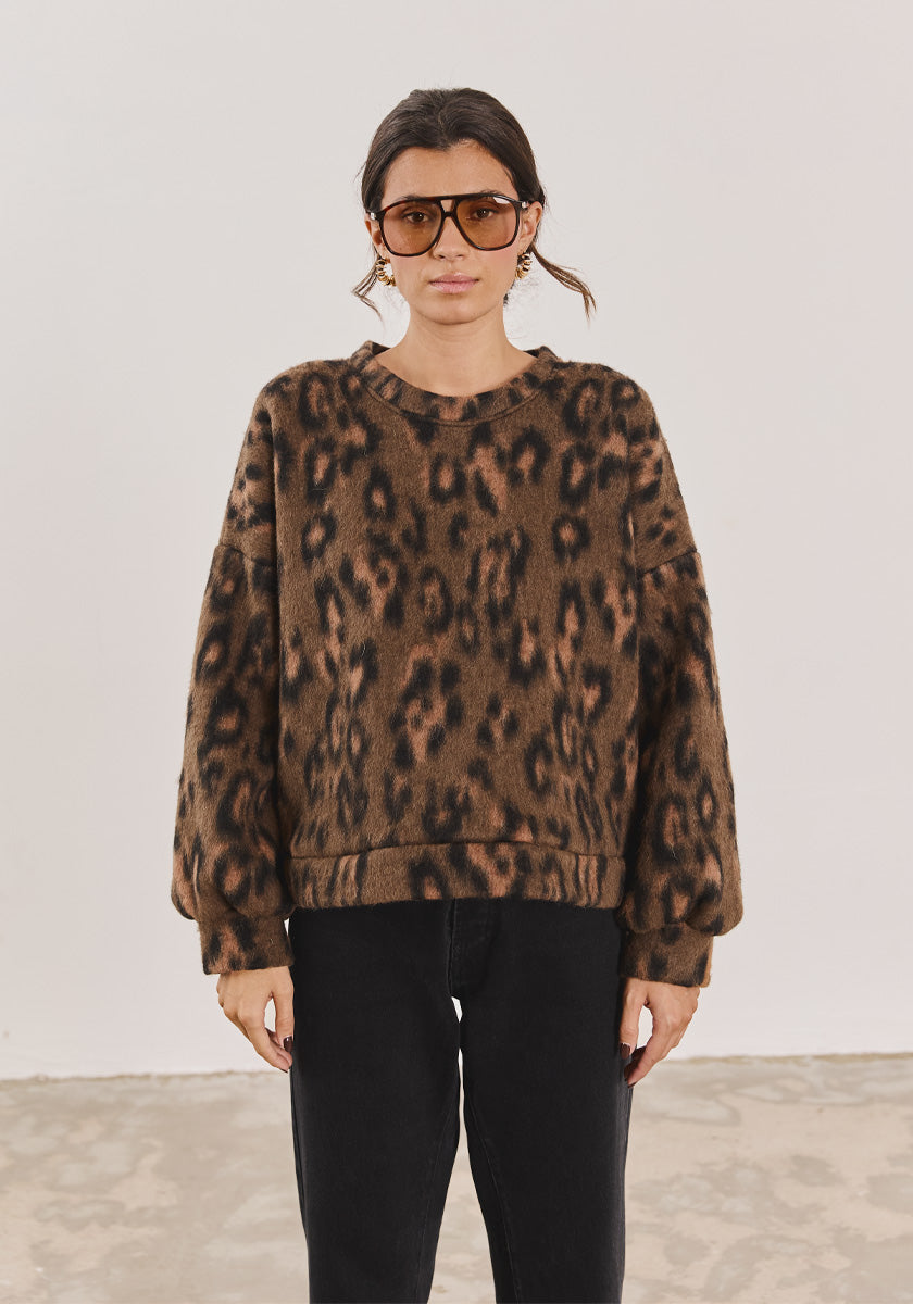 Pull DIAS Léopard